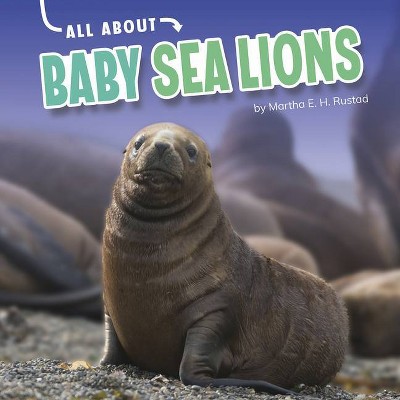 All about Baby Sea Lions - (Oh Baby!) by  Martha E H Rustad (Hardcover)