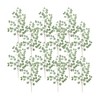 Frosted Silver Dollar Eucalyptus Spray (Set of 12) - 3 of 3