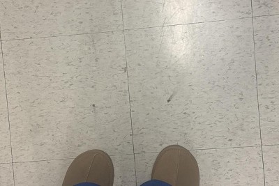 Guest review image 1 of 1, zoom in