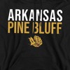 University of Arkansas at Pine Bluff Official Stacked Adult Pull-Over Hoodie - 2 of 4