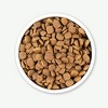 Earthborn Holistic Coastal Catch Herring Meal & Vegetables Grain-Free Dry Dog Food - 4 Lbs - 2 of 3