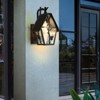 YIYIBYUS Waterproof Outdoor Wall Sconces Frosted Glass Flower Wall Lamp - 4 of 4