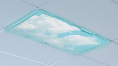 Educational Insights Classroom Fluorescent Light Filters 36 X 24 Every