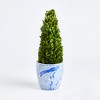 Plum & Post Boxwood Cone Topiary Drop-In 16" - 4 of 4