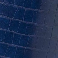 navy croco