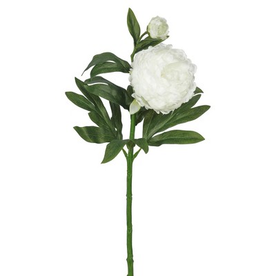 Artificial Peony x 2 (Pk/3) Cream - Vickerman: 24" Polyethylene Indoor Decor, Set of 3