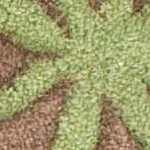 brown/multi