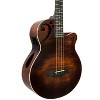 Sawtooth Rudy Sarzo Signature Acoustic-Electric Bass Guitar - 3 of 4
