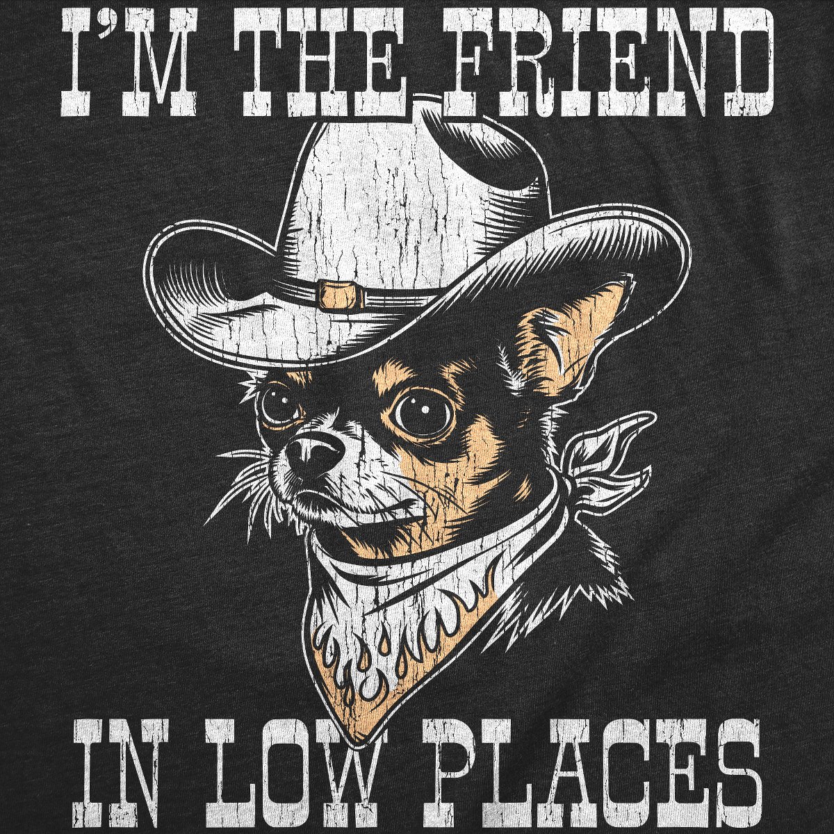 Мужские футболки Crazy Dog T-Shirts, Inc. Mens Funny T Shirts Im The Friend In Low Places Sarcastic Graphic Novelty Tee For Men - Crazy Dog Men's T Shirt For Music Lovers Black M — фото 2