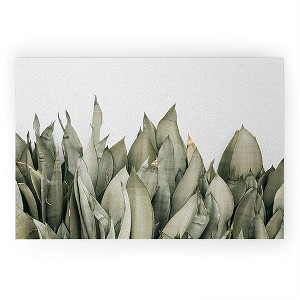 Romana Lilic / LA76 Photography Moonshine Snake Plant Welcome Mat - Society6 - 1 of 4
