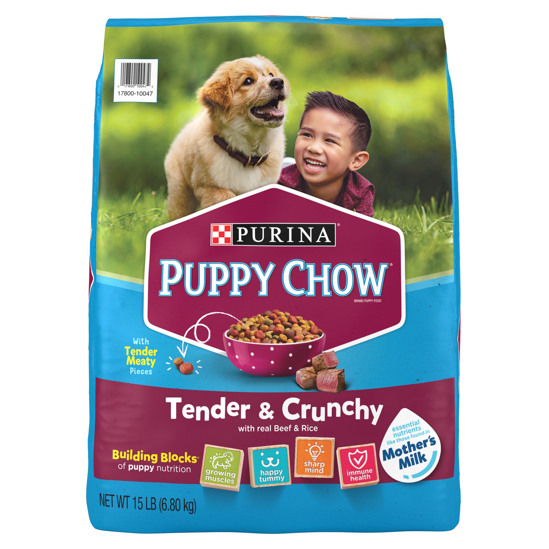 Dog Chow Tender & Crunchy Dry Dog Food with Real Beef & Rice Flavor - 15lbs
