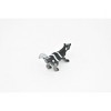 Collectible Wildlife Gifts | Skunk, Striped,  Plastic Animal Toy, Model, Animal,  Gift,    2 1/2 "     CWG126 B238 - 4 of 4