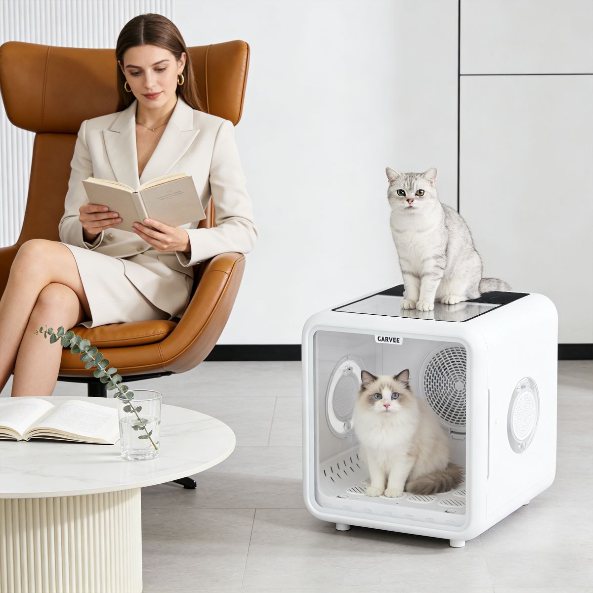 72L Pet Drying Box – 360° High-Efficiency Airflow, 5 Outlets, Quiet Grooming for Cats & Small Dogs up to 45 lbs - thumbnail 3