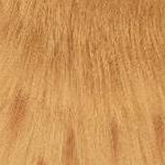 mahogany