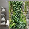 Paaaawaters 1pc Refreshing Spring Scenery Bath Curtain - Lush Green Foliage & Stone Design, Easy-Care Polyester - 2 of 4