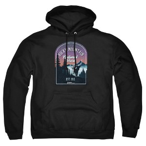 Men's Rocky Mountain National Park Sticker Pull-Over Hoodie - 1 of 4