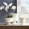 Plum & Post Coletta Decorative Footed Bowl - 2 of 4