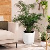 Self Watering Pots, Outdoor Marble Finish Tall Planters with Water Level Monitor, Large Plant Pots for Indoor Plants, Home, Office, Patio - 4 of 4