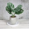 Unique Bargains Plastic Round Home Decor Plant Saucers for Garden Potted 8 Pcs - 4 of 4