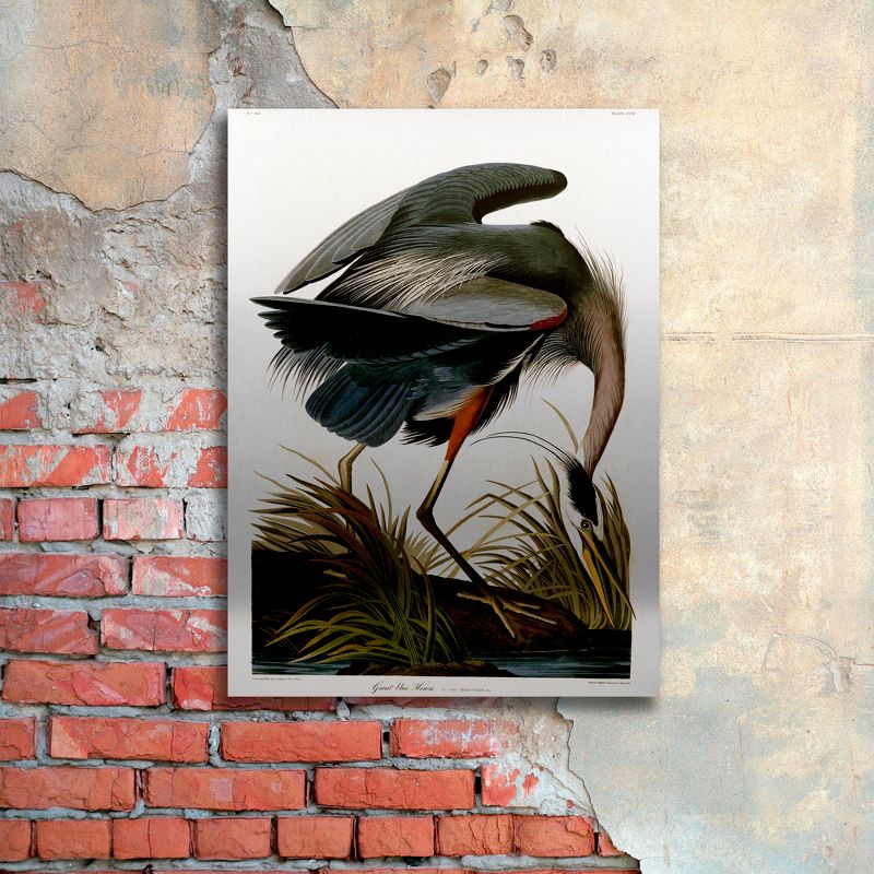 Trademark Fine Art - John James Audubon 'Great Blue Heron' Floating Brushed Aluminum Art, 3 of 5