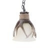 YIYIBYUS Brown Retro Resin Antler Pendant Light with Shade,1-Light - 2 of 4