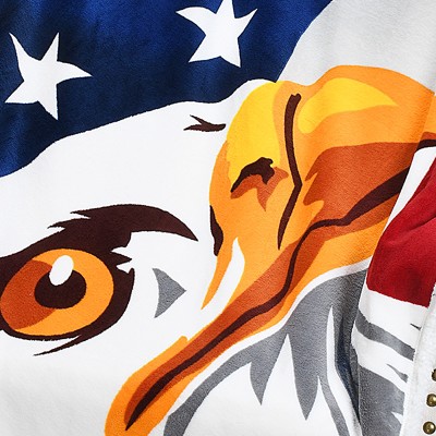 us eagle flag
