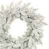 Snowy Flocked Pine Wreath 24"D - 2 of 2