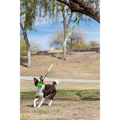 Green Adjustable Tree Tugger Dog Toy with Jolly Jumper
