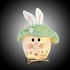 Stony Creek 8.75 In Spring Bunny Orb With Hat Easter Rabbit Electric Novelty Sculpture Lights - 3 of 3