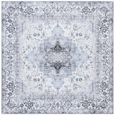 Arizona ARZ123 Power Loomed Machine Washable Area Rug  - Safavieh