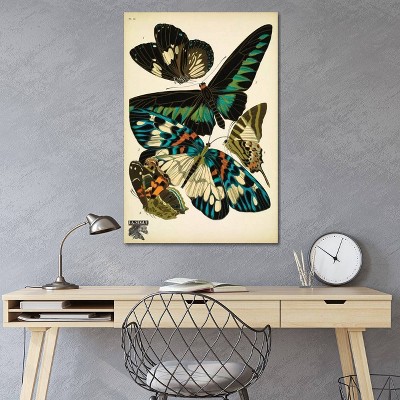 Papillons Butterflies Multicolor Canvas Wall Art 18x12