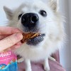 Ava's Pet Palace Snappin' Salmon Crunchy Jerky Dog Treat - 4oz - 4 of 4