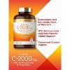 Carlyle Buffered Vitamin C 1000 mg | 180 Caplets | with Bioflavonoids & Rose Hips - 3 of 4