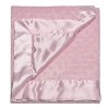 Baby Starters Soft Plush Baby Blanket, 30 inch x 40 inch - 2 of 2