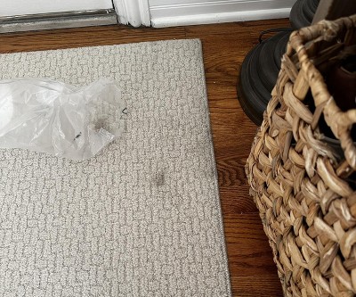 Guest review image 1 of 2, zoom in