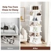 Skyzoo 360° Rotating Shoe Rack - 5 Tier Hexagon Spinning Shoe Organizer for Living Room,Entryway & Closet, - 3 of 4
