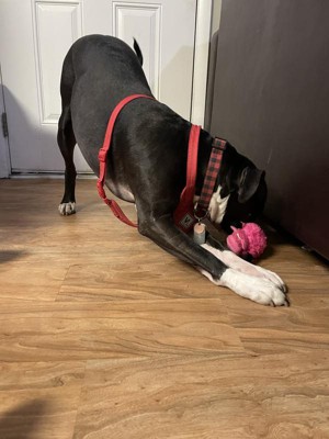 Guest review image 5 of 5, zoom in