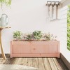 vidaXL Garden Planter Outdoor Flower Box for Climbing Plants Solid Douglas Wood - Ideal for Gardens, Patios, and Balconies - 35.4"x12.2"x12.2" - 3 of 4