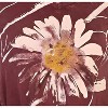 Women's Chit Chat Mineral Washed Patch Pocket Cotton Tunic - Jess & Jane - 2 of 2