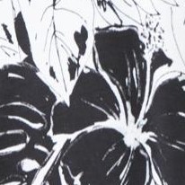 black tropical foliage