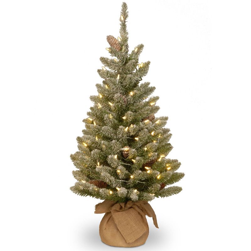 3ft National Tree Company Pre-Lit Snowy Concolor Fir Artificial Tree in Burlap with Snowy Cones &#38; Warm White Battery Operated LEDs, 1 of 3