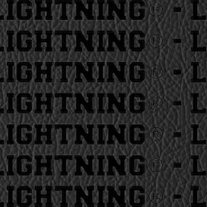 tampa bay lightning