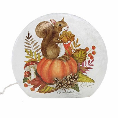Stony Creek 11.75 In Little Forest Friends Pre-Lit Round Orb Fall Autumn Pinecones Acorns Novelty Sculpture Lights