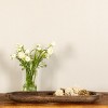 Storied Home Decorative Paulownia Wood Tray, Brown - 3 of 4