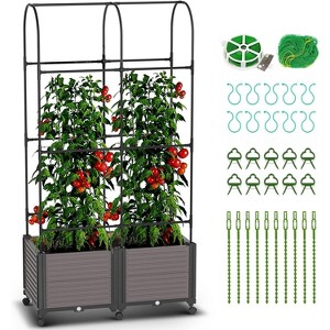 DoCred Raised Garden Bed Planter with Trellis & Wheels – Tomato Cage Planter Box for Climbing Vegetables, Indoor & Outdoor Use, Single & Multi-Pack - 1 of 4