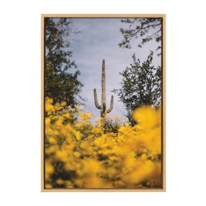 Kate and Laurel Sylvie Desert Flowers Framed Canvas by Patricia Hasz of Patricia Rae Photography - 1 of 4
