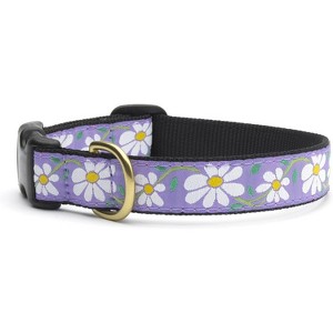 Up Country Daisy Pattern (Daisy Dog Collar, Medium (12 to 18 inches) 1 inch Wide Width) - 1 of 1