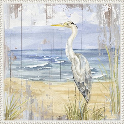 Birds of the Coast Rustic II White Framed Canvas Art