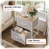 2 Drawer Nightstand for Bedroom, Small Bedside Furniture, Night Stand, End Table with Fabric Bins for Bedroom, Closet, Entryway - 4 of 4