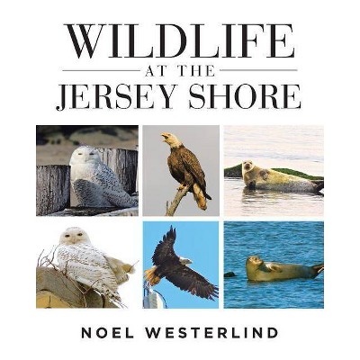 Wildlife at the Jersey Shore - by  Noel Westerlind (Paperback)